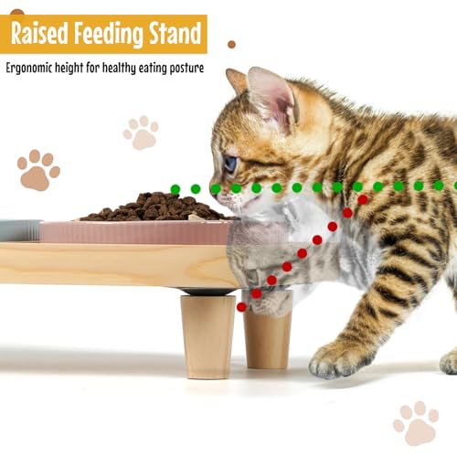 Katzennapf Flach Keramik mit Holzständer, Erhöhte Futterstation Tisch mit 2 Keramiknäpfe, Futternapf Katze Schalen-Durchmesser 16 cm