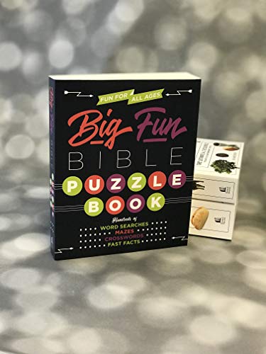 Big Fun Bible Puzzle Book #TOP1