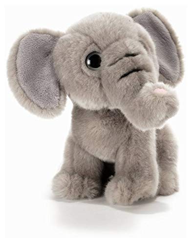 Plush & Company 8029956158384 Surus Elefante - Peluche de Animal Bosque (23 cm), Multicolor