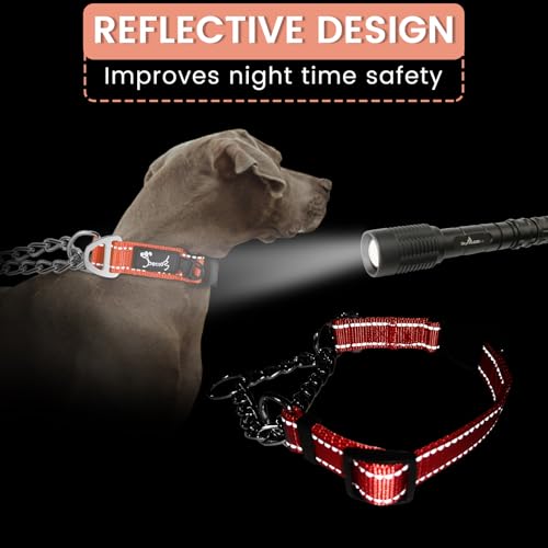 PETTOM Hundehalsband – Verstellbares, Reflektierendes Halsband mit Sicherheitsverschluss für Training, Atmungsaktives Nylon für Mittelgroße bis Große Hunde (Rot, M 43-52cm)