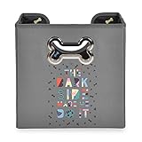 Star Wars for Pets “The Bark Side Made Me Do It” Pet Toy Storage Bin, Fabric Dog Toy Storage Bin, Gray 12 x 12 x 12 | Foldable Cube Storage Bin | Gifts for Star Wars Fans (FF19386)