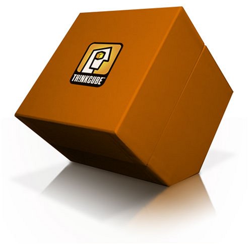 ThinkCube: A Professional Innovation Tool