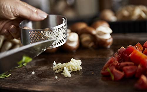 Zone Denmark Singles Garlic Press, Cooking Gadgets, Matte Steel - Image 2