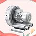 Regenerative Blower, Vortex Ring Blower, 110V 50Hz Single Phase, Ring Blower High-Pressure Vortex Ring Blower,Industrial Vacuum Pump For Air Blowing(750W/1.01HP)