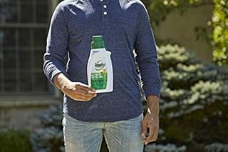 Roundup For Lawns2 Concentrate (Northern) - 32 oz., Lawn Safe Weed Killer For Northern Lawns, Kills Crabgrass, Dandelion, Clover & Yellow Nutsedge, Starts Working Immediately, 5008710