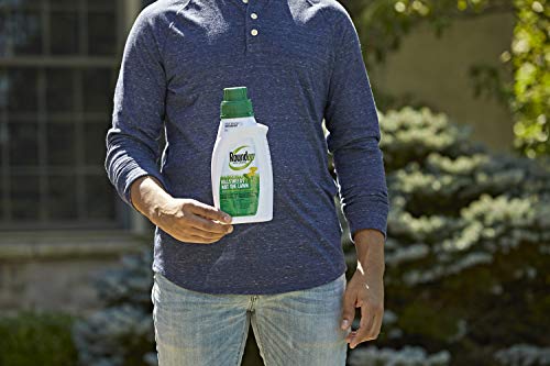 Roundup For Lawns2 Concentrate (Northern) - 32 oz., Lawn Safe Weed Killer For Northern Lawns, Kills Crabgrass, Dandelion, Clover & Yellow Nutsedge, Starts Working Immediately, 5008710