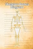 Skeleton Bones Diagram