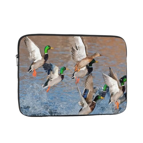 p\RP[X X[u m[gp\Rp̃obO Aq ی y ϏՌH Vv ʋ ʊw rWlX  킢 y 12 Inch