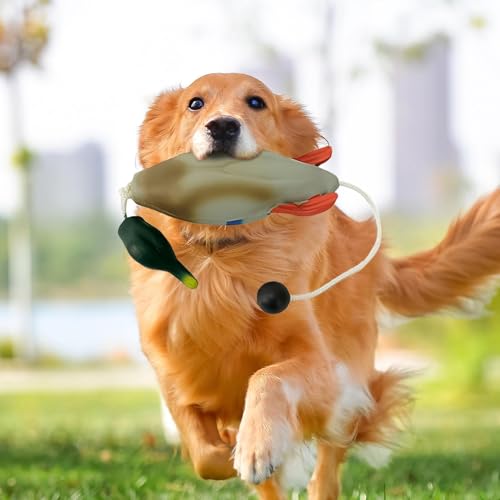 JINGAN Hunde-Stoßfänger zum Wasserholen, Enten-Stoßfänger-Spielzeug - Hunde-Retriever-Trainingsspielzeug | Jagdhundezubehör, Entenspielzeug für Hunde, Simulationstier in Form für Welpen