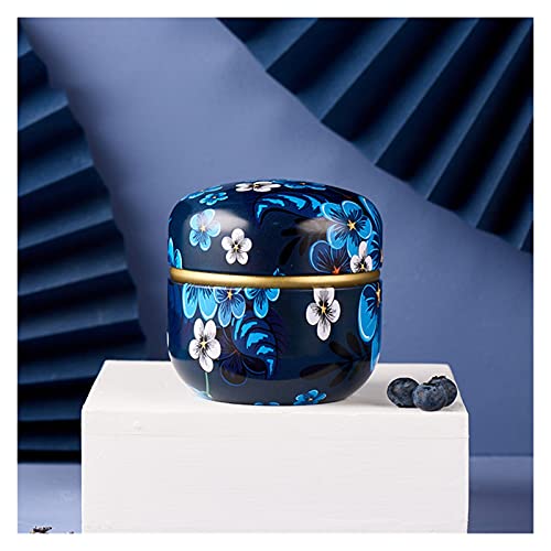 WAOCEO Tea Canister Tea Containers Candle Cans Candy Snacks Small Round Cans Mini Portable Tin Cans Packaging Tea Caddy (Color : 01)