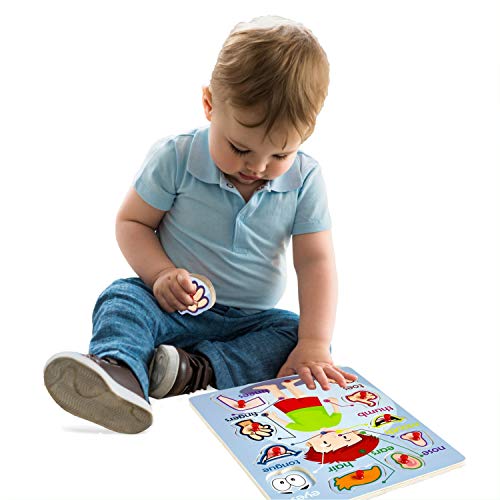 Wooden Peg Puzzle, My Body - Outside - Learning Educational Pegged Puzzle for Toddler & Kids (10 pcs) Gleeporte - Thumbnail 7