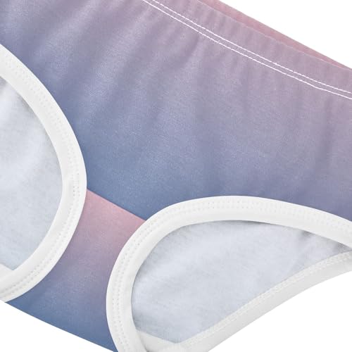 Joisal Blush Pink Lapis Lazuli Gradient Panties for Girl Toddlers Underwear Floral Cotton Cartoon Kids Briefs Undies 2t4