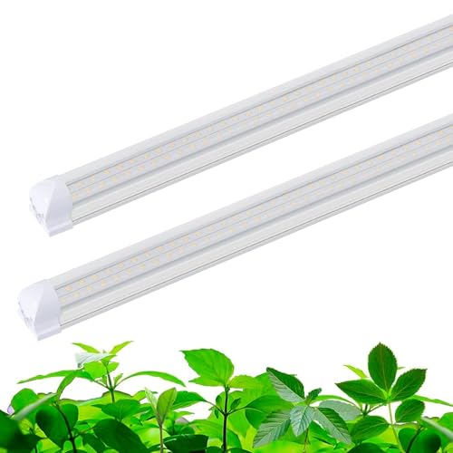 Lampe de culture spectre complet et ampoules connectables pour hydroponie