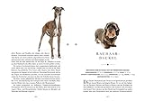 Naturelove. 50 besondere Hunde: Vom Beagle bis zum Zwergspitz. Ein Buch wird zum Kunstwerk
