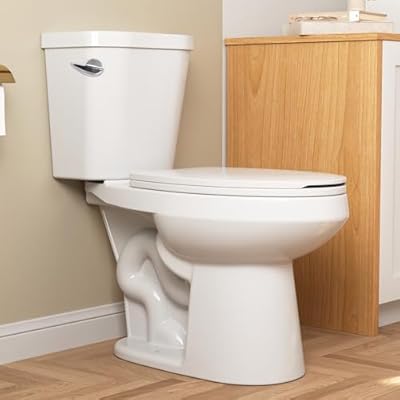 DeerValley Two-Piece Toilet, ADA Height Toilet Bowl With Soft Close Seat MaP 1000g Comfort Chair Height White Toilets for Bathrooms 12” Rough in (Single Flush Elongated)