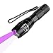 BESTSUN Linterna UV Antorcha Luz Negra 395nm Luz Ultravioleta Gato Perro Mascota Orina Detector de Manchas Detector Lámpara UV con Zoomable para Mascotas y Luz Blanca 2 en 1 Diseño