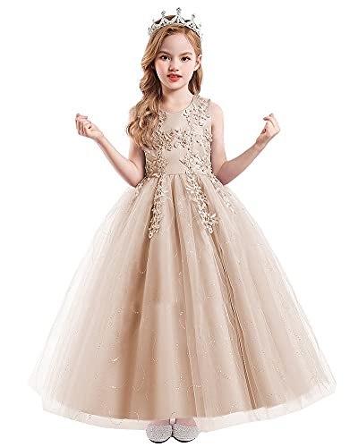 HIHCBF Flower Girls Lace Applique Wedding Sequins Tulle Dress Princess Pageant Communion Birthday Christmas Party Ball Gown2