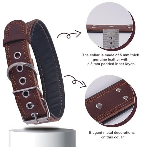 Hundehalsband aus Leder, Extra Dick und 5cm Breit Gepolstert, Weiches Echtes Leder, Schwere Leistung für Mittelgroße und Extra Große Hunderassen (Braun,XL)