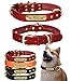 Genuine Leather Nameplate Dog Collar Personalized Engraved ID Name Tag Pet Dog Collar (Medium, Red)