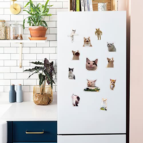 Imanes decorativos Pounchi Funny Cat (12 piezas) miniatura 4
