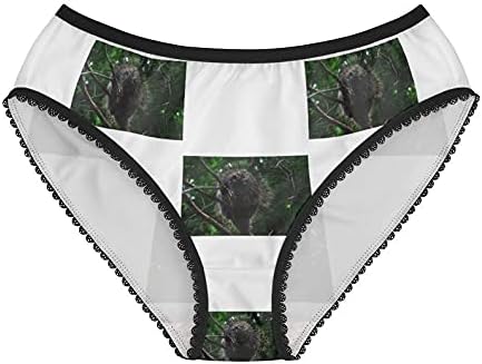 Porcupine Panties, Porcupine Underwear, Briefs, Cotton Briefs, Funny Underwear, Panties For Women