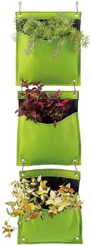 Amazon Co Jp フェルト ハーブ ポット 3 個 セット 壁がけ式 の おしゃれ な ミニ 菜園 ライム グリーン Diy 工具 ガーデン Amazon Co Jp フェルト ハーブ ポット 3 個 セット 壁がけ式 の おしゃれ な ミニ 菜園 ライム グリーン Diy 工具 ガーデン