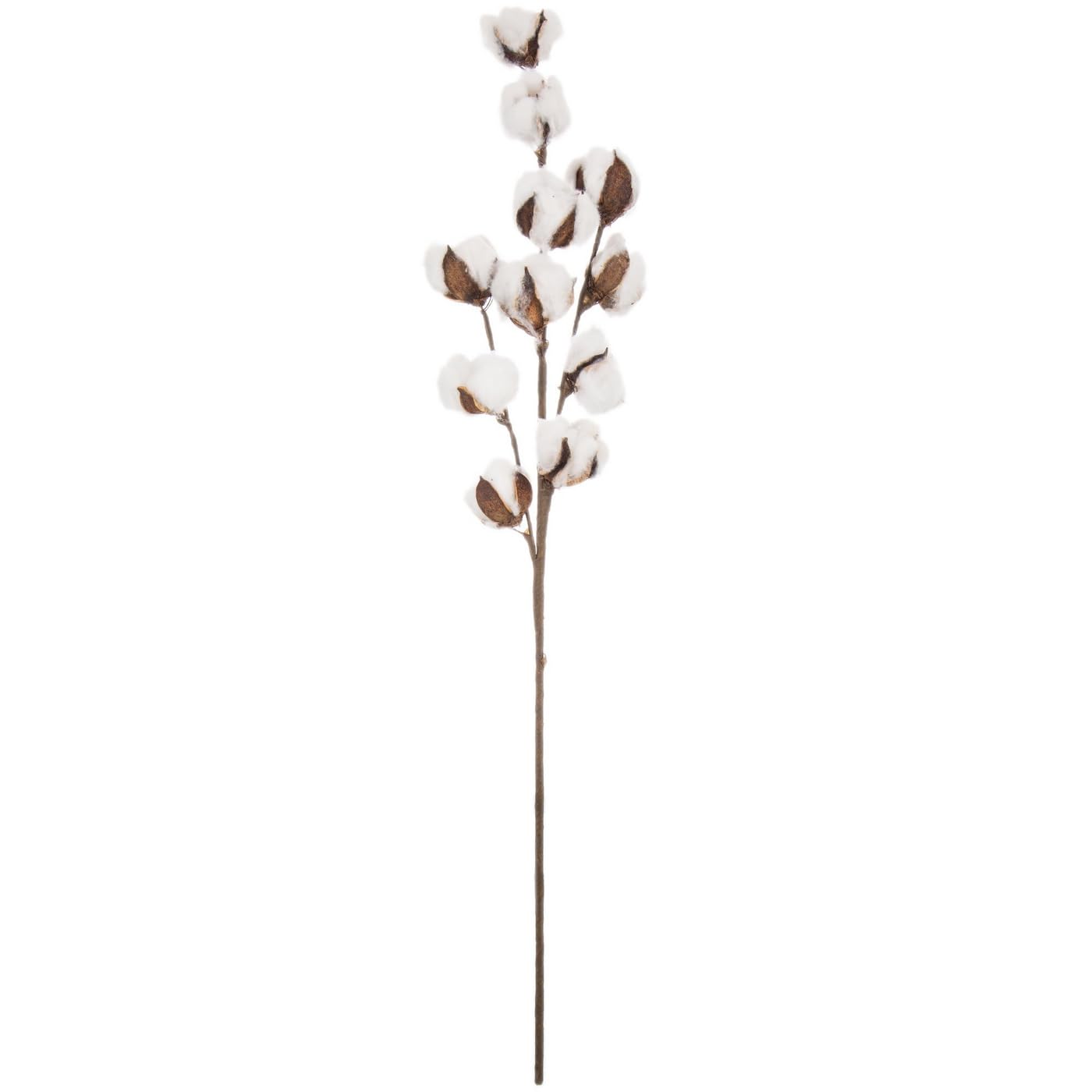 Hobby Lobby Cotton Stem