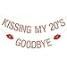 Deloklte Kissing My 20s Goodbye Banner - 29th, 30th Birthday Party Decorations Hello 30 Decors, Cheers to Years Thirty Supplies, Rose Gold