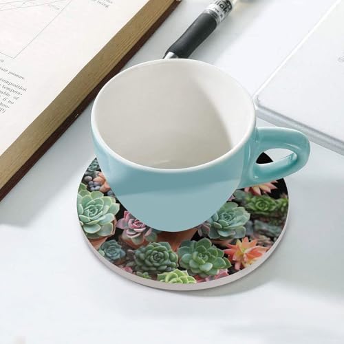Dessous de verre absorbants en céramique liège plantes succulentes
