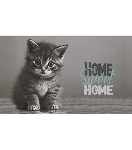 NOVOTEX - Tapis Intérieur Anti Dérapant et Absorbant Chaton 45x75cm