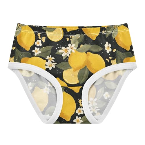 Wusikd Lemons Flowers Girls' Underwear Cotton Girls Briefs Soft Toddler Underwear 2T