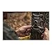 Wildgame Innovations Terra Extreme 14 Megapixel IR Trail Camera | Still Images and Video, Bark, 720p