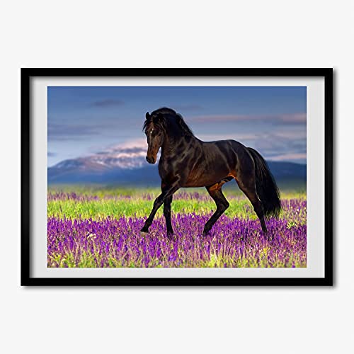 Cadre photo affiche cheval lavande 70x50 cm style nature moderne