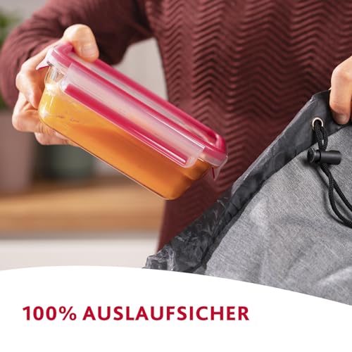 EMSA Clip & Close Glas Frischhaltedose, rechteckig, 2 L, 100 Prozent dicht, rutschfestes Stapeln, Glasbehälter spülmaschinen-, gefrier… – Ansicht 6