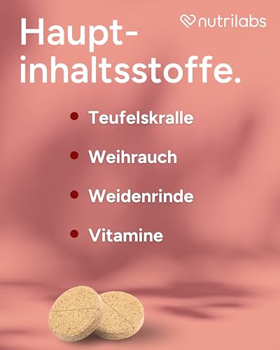 NutriLabs Dexboron forte Hunde Kautabletten 150 STK. - Tabletten mit Teufelskralle - Regenerationsmittel mit Weidenrinde, Weihrauchextrakt u.v.m.