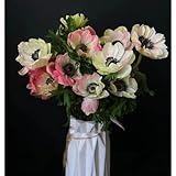 Anemonen Zwiebeln,Winterhart Mehrjährig,Staude,Frühlingsblüher,duftend,winterharte Blumenzwiebeln,blumenzwiebeln frühblüher winterhart(keine Samen,nicht künstlich)-5zwiebeln-A