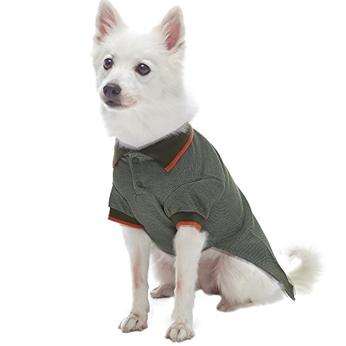 Blueberry Pet Pack Of 2 Back To Basic Cotton Blend Dog Polo Shirts In Orange And Olive Green, Back Length 10", Clothes For Dogs #TOP4