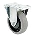 Shepherd Rigid Plate Thermoplastic Center Caster 2-7/8" X 4-1/8" 1-1/4" W Tread Capacity 300 Lb Gray