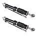 AP02 Compatible For Mercedes S-Class W140 S320 S500 1992-1999 Hydraulic Shock Struts Rear Left & Right 1403209313