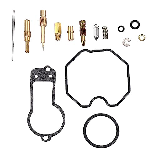Carb Rebuild Kit For 1996-2004 XR250R Carburetor Repair Includes All Items To New Condition