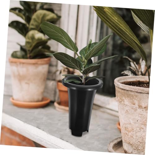 Pots pour orchidées anti racines pourries avec aération - 7
