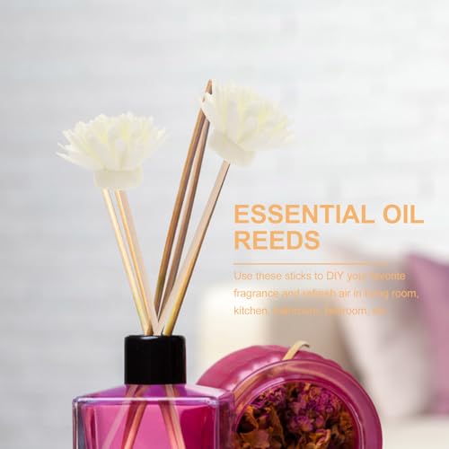 Tofficu 5{Zbg efUCِ[hfBt[U[ XeBbN a3mm 20cm A}fBt[U[p FrO Q 