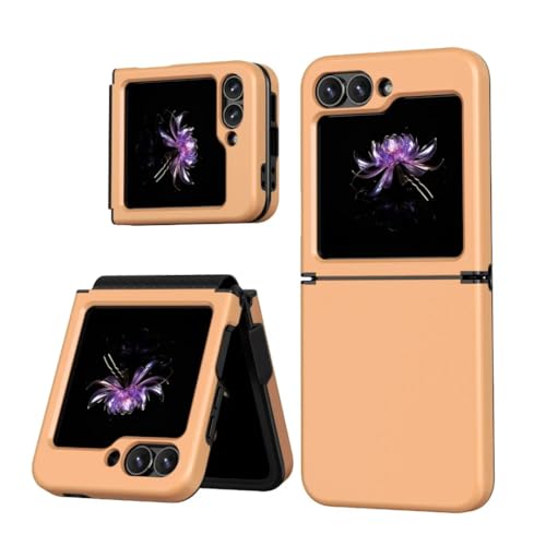 Coque pour Galaxy Z Flip 6 antichoc en plastique dur, idéale pour sécuriser vos photos en terrasse