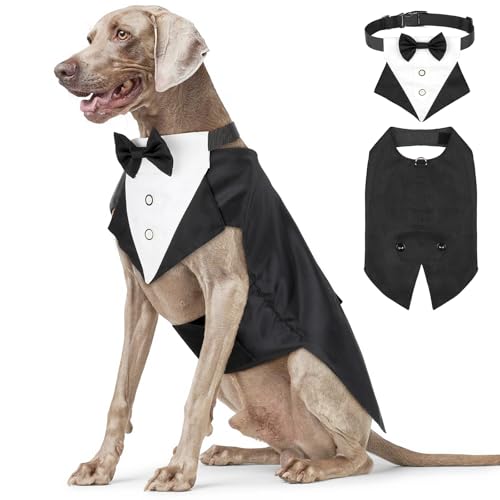 Illumifun Smokinganzug und Bandana-Set, eleganter Hunde-Hochzeitsparty-Anzug mit Fliege, Hemd, Weste, Haustier-Smoking-Kostüm mit abnehmbarem Fliegenkragen (L)