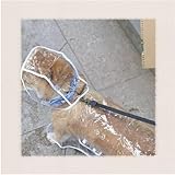 Regenjacke Hund,transparent PVC Hunderegenmantel,Regenmantel Hund Haustier-Regenmantel mit Kapuze,leicht Regenmantel,für kleine, mittelgroße Hunde,Zurück lange 36cm