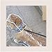 Regenjacke Hund,transparent PVC Hunderegenmantel,Regenmantel Hund Haustier-Regenmantel mit Kapuze,leicht Regenmantel,für kleine, mittelgroße Hunde,Zurück lange 36cm