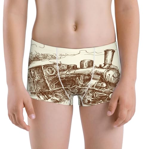 Boys' Cotton Boxer Brief Soft Underwear-Train
