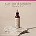 Bach Original Flower Remedies, Star of Bethlehem - Neutralize Grief - Natural Homeopathic Flower Essence for Emotional Balance - Vegan, Gluten Free, Sugar Free - 20mL Dropper