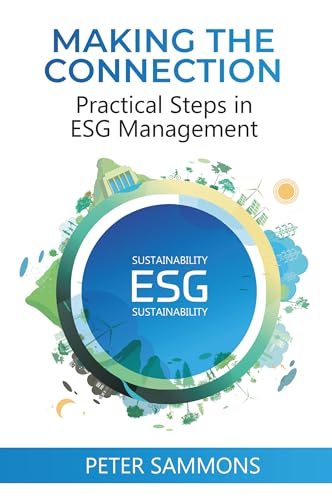 Making the Connection: Practical Steps in ESG Management