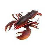 WJXFHTD 1 estatua de langosta de plástico, modelo de langosta realista, figuras marinas en el acuario, decoración de escritorio para el hogar, oficina, dormitorio, sala de estar (langosta de Boston)
